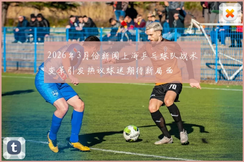 2026年3月份新闻上海乒乓球队战术变革引发热议球迷期待新局面