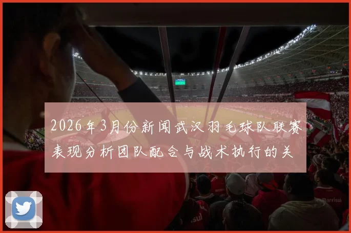 2026年3月份新闻武汉羽毛球队联赛表现分析团队配合与战术执行的关键因素探讨